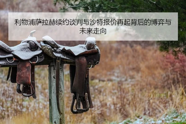 利物浦萨拉赫续约谈判与沙特报价再起背后的博弈与未来走向